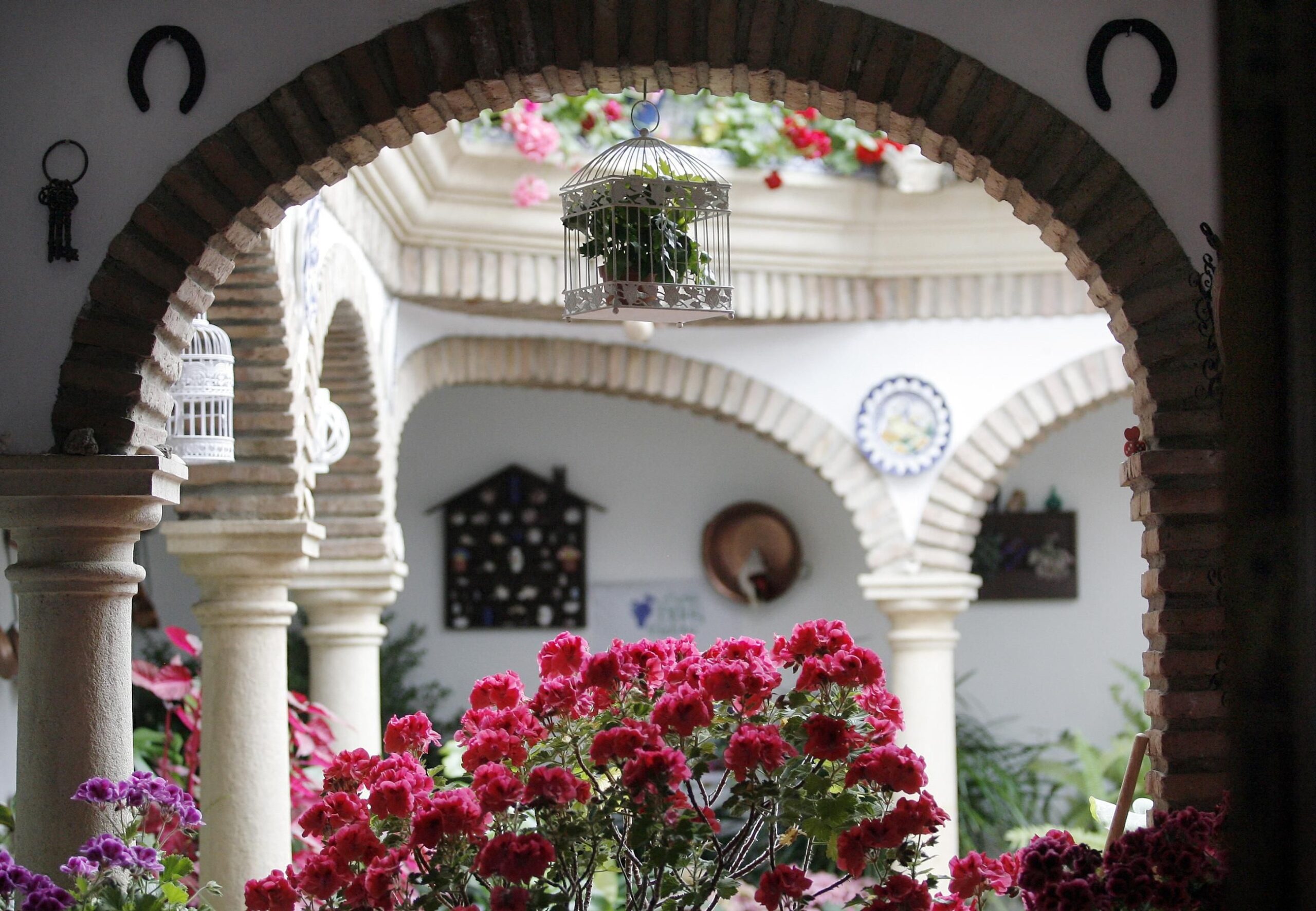 Patio de Zarco, 15 / El Día