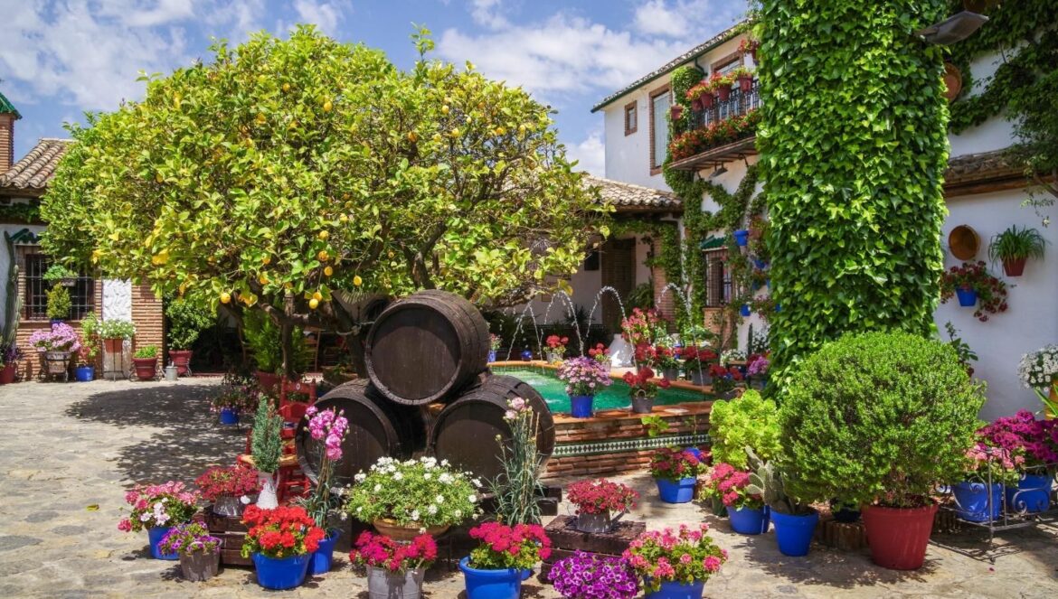Patio de la calle Empresaria Teresa Córdoba, en Rute, ganador del año pasado / El Día