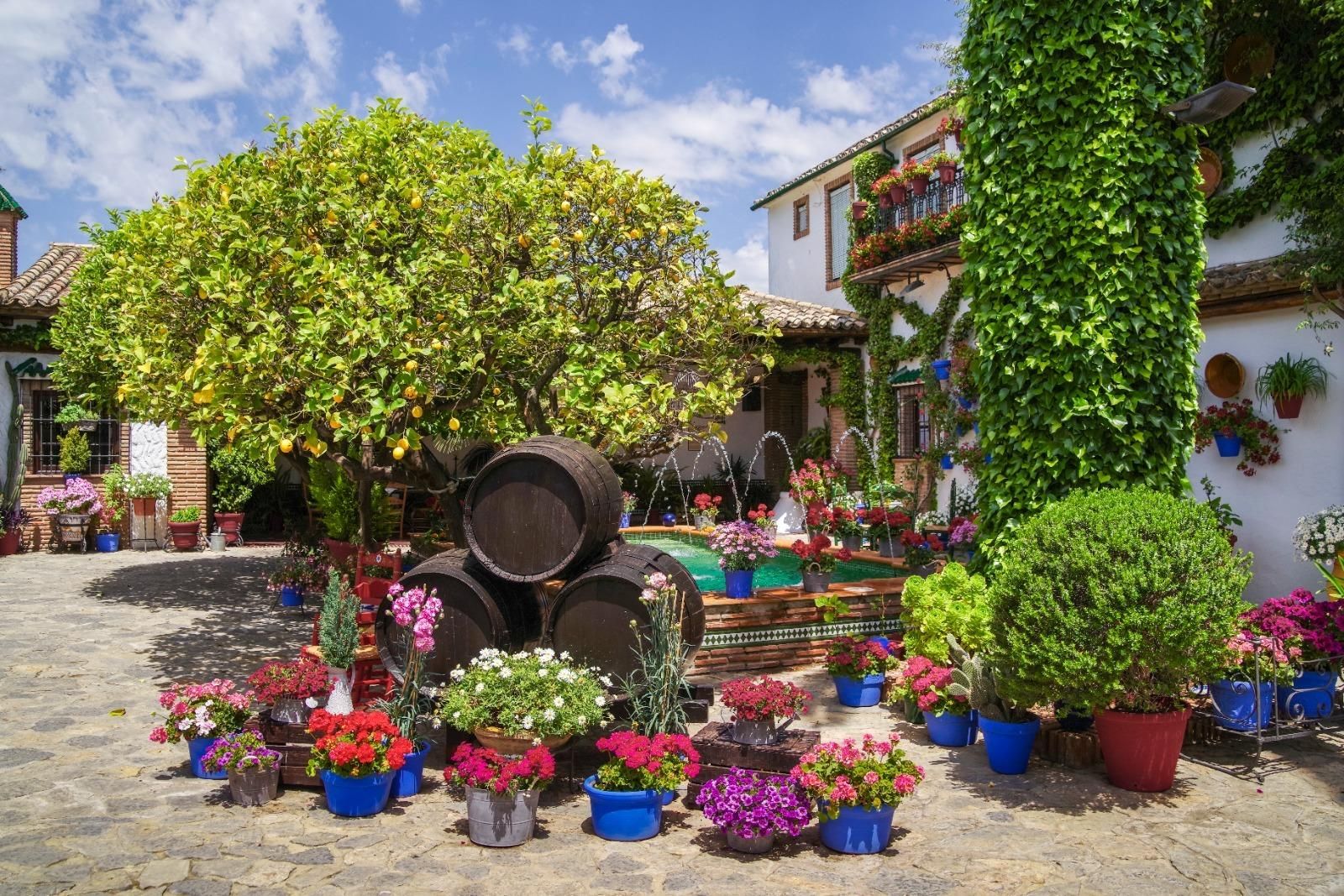 Patio de la calle Empresaria Teresa Córdoba, en Rute, ganador del año pasado / El Día
