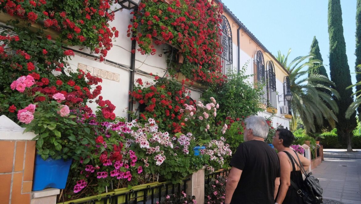 Rejas y balcones de Manuel Soro Tinte, 3, los más laureados del certamen / Juan Ayala