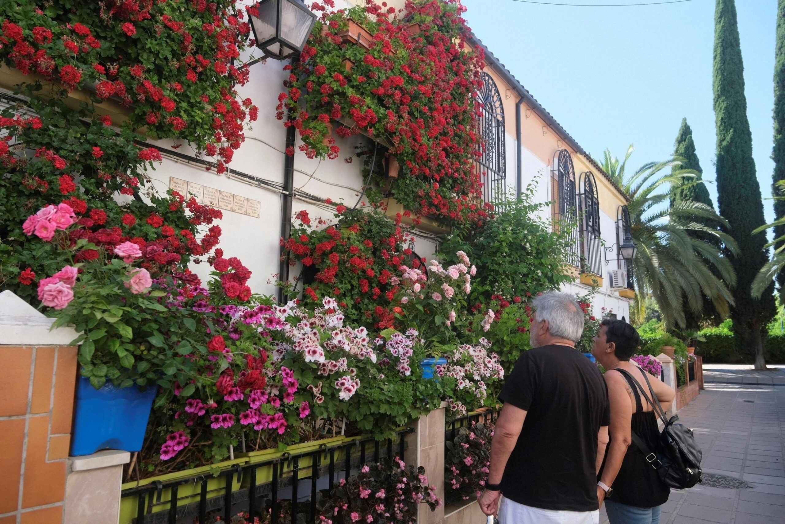 Rejas y balcones de Manuel Soro Tinte, 3, los más laureados del certamen / Juan Ayala