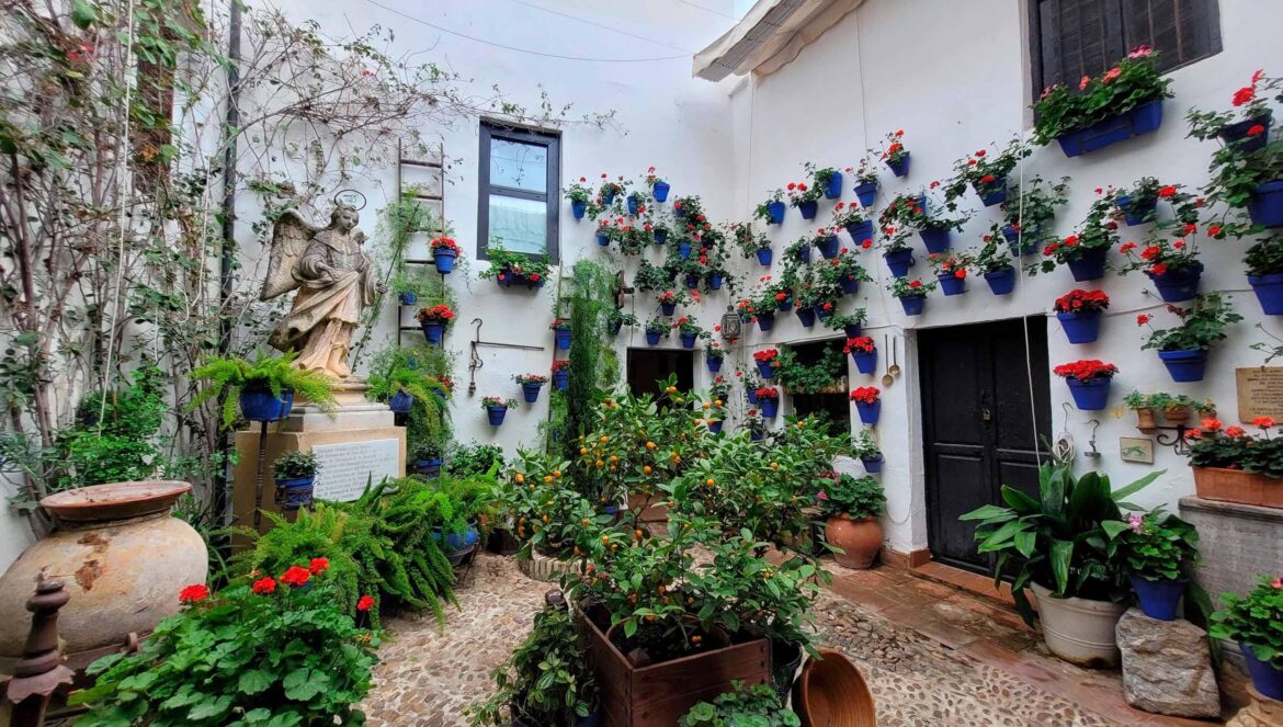 Patio cordobés / Europe in Bloom
