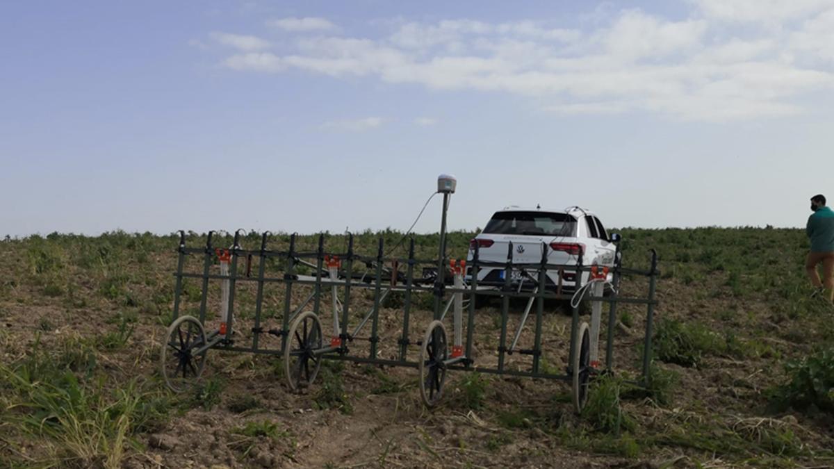 Prospección llevada a cabo en Cádiz por el equipo de Monterroso para localizar el templo de Hércules en 2021.