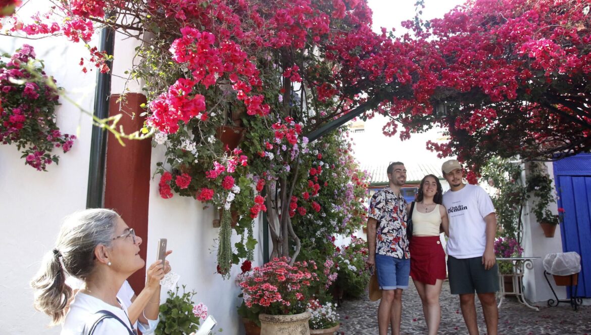 Patio de Marroquíes, 6 / Juan Ayala