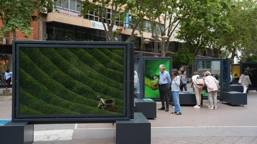 Una exposición de National Geographic celebra los 'Colores del mundo' en el Bulevar de Gran Capitán / CHENCHO MARTÍNEZ