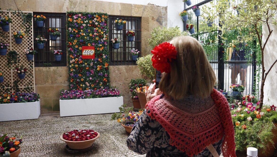 El Patio Lego del Palacio de Orive. / Cristina del Moral
