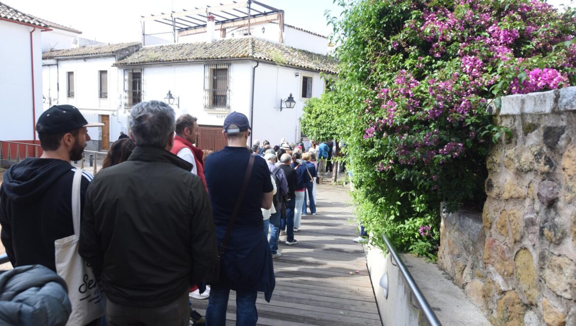 Turistas en la Ruta de Patios del Alcázar Viejo / Luis Navarro
