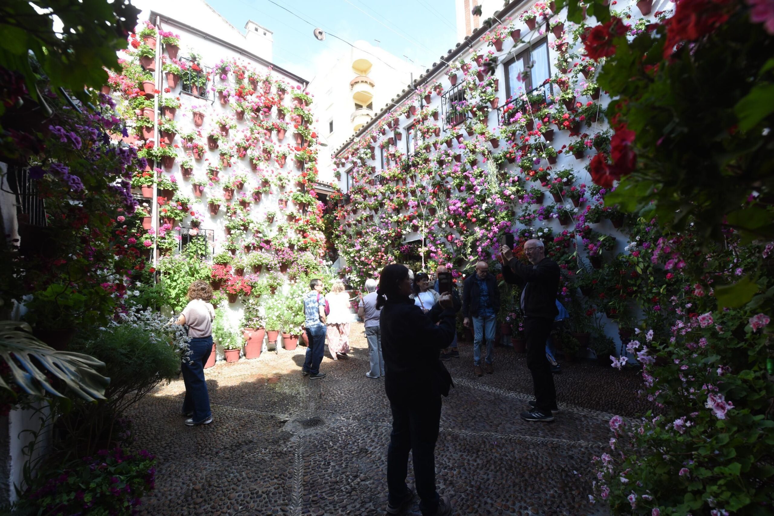 Turistas en Martín de Roa 7 / Luis Navarro