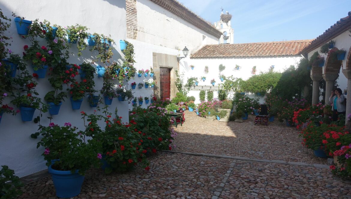 Patio de la calle Francisco Botello, 16, en Pedroche / El Día
