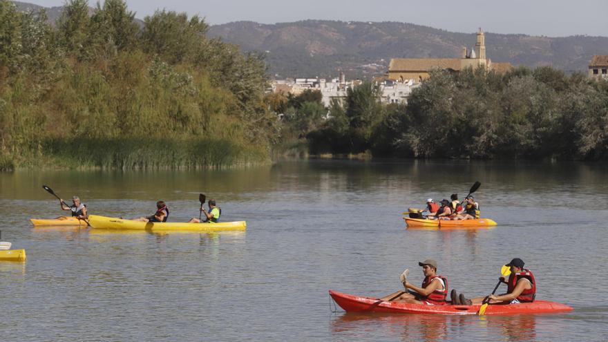 Ruta en kayak por el Guadalquivir. / A. J. GONZÁLEZ