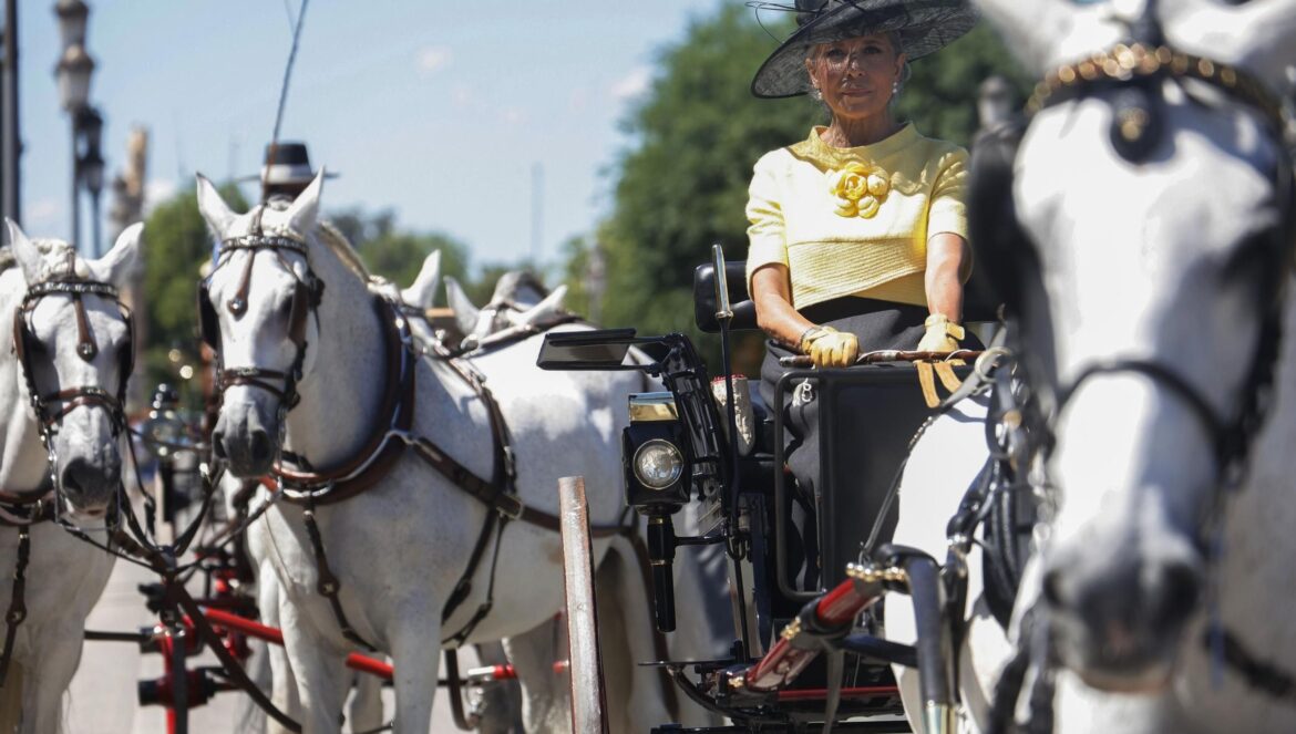 Una de las últimas ediciones de la Exhibición de Carruajes de Tradición. / El Día