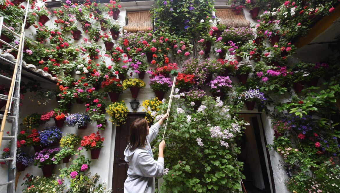 Carmen Ibáñez ultima los preparativos en su patio de San Basilio, 14 / Luis Navarro