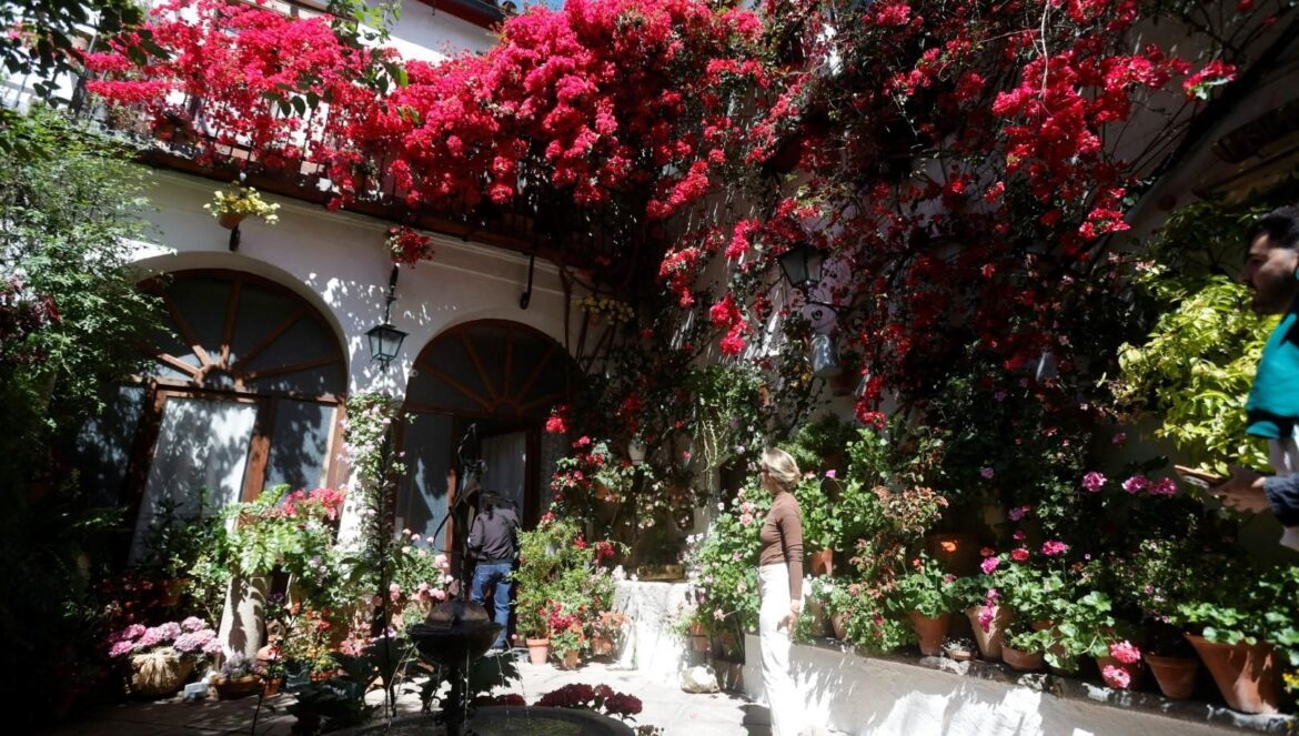 Patio de Calle La Palma, 3 / Miguel Ángel Salas