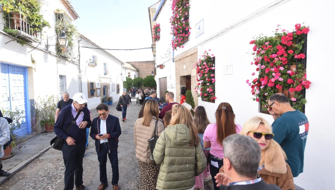Numerosas personas esperan en la zona del Alcázar Viejo para visitar los patios / Luis Navarro
