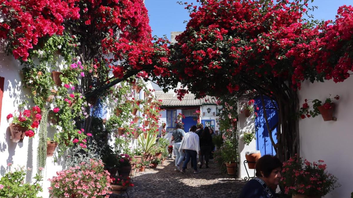 El Patio de Marroquíes, 6 / Cristina del Moral