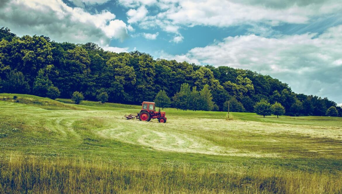 red tractor on green grass field