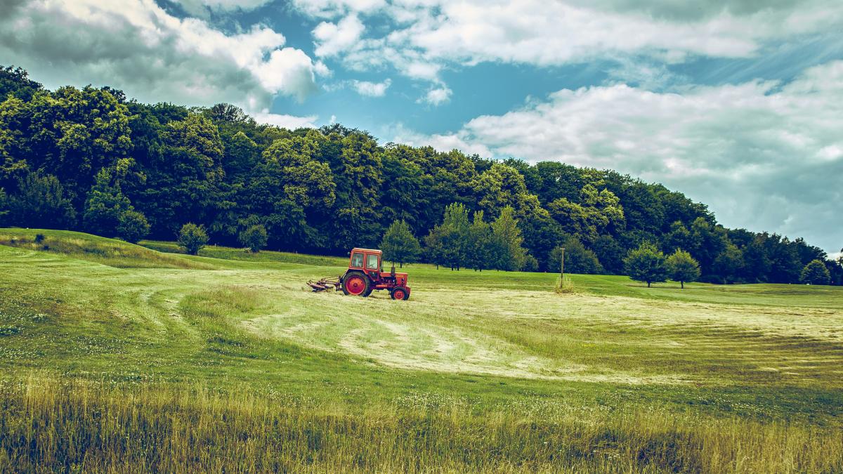 red tractor on green grass field