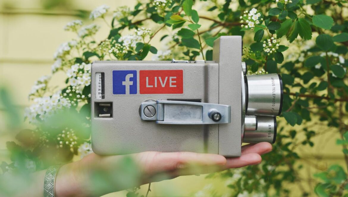person holding gray video camera near green leaf plant during daytime