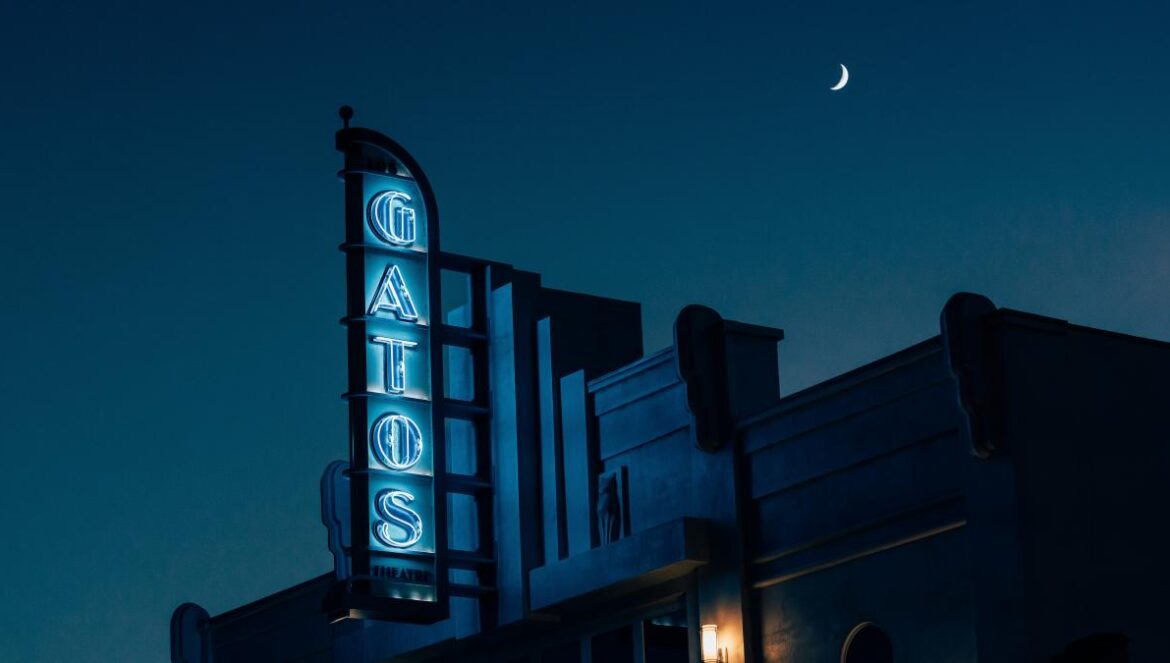 photo of Gatos neon light signage