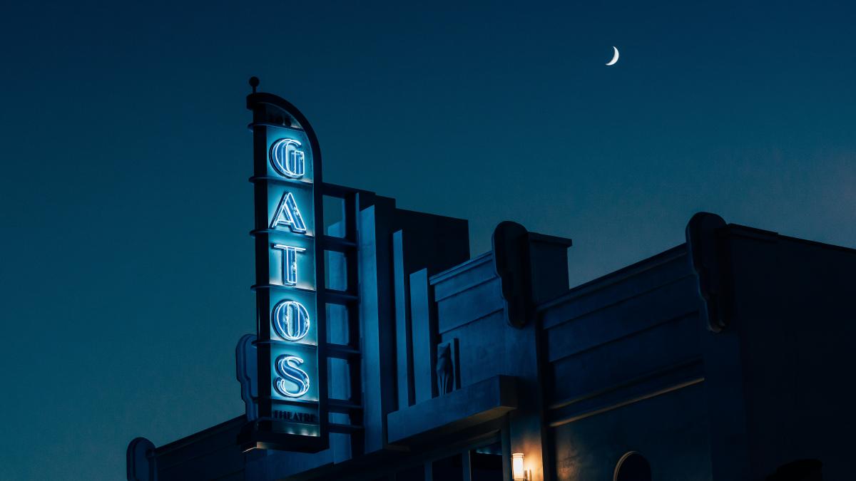 photo of Gatos neon light signage