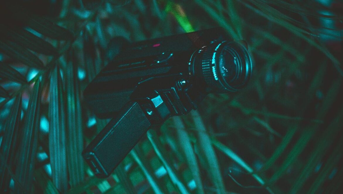 black handycam on green leaf
