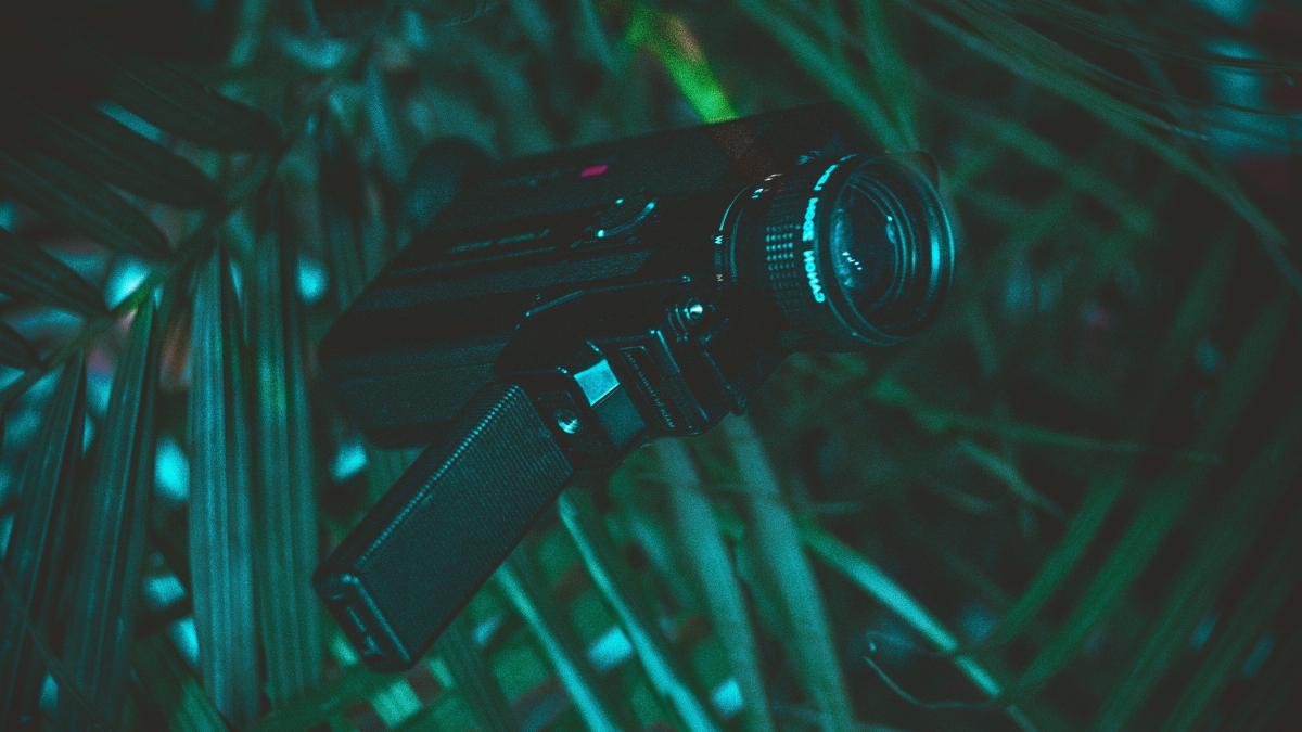 black handycam on green leaf