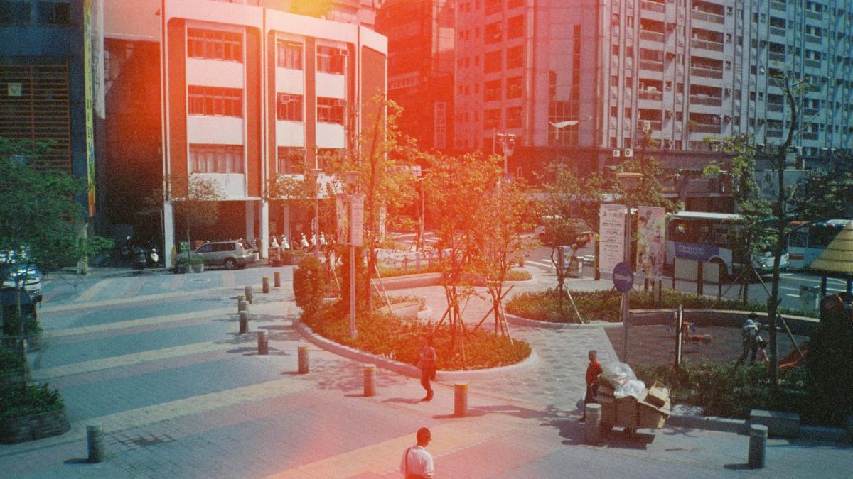 people on park near buildings