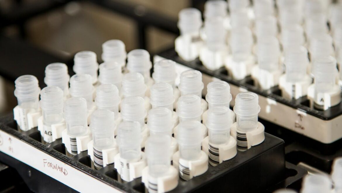 shallow focus photography of white bottle lot