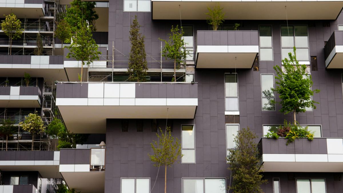 green trees in front of white concrete building