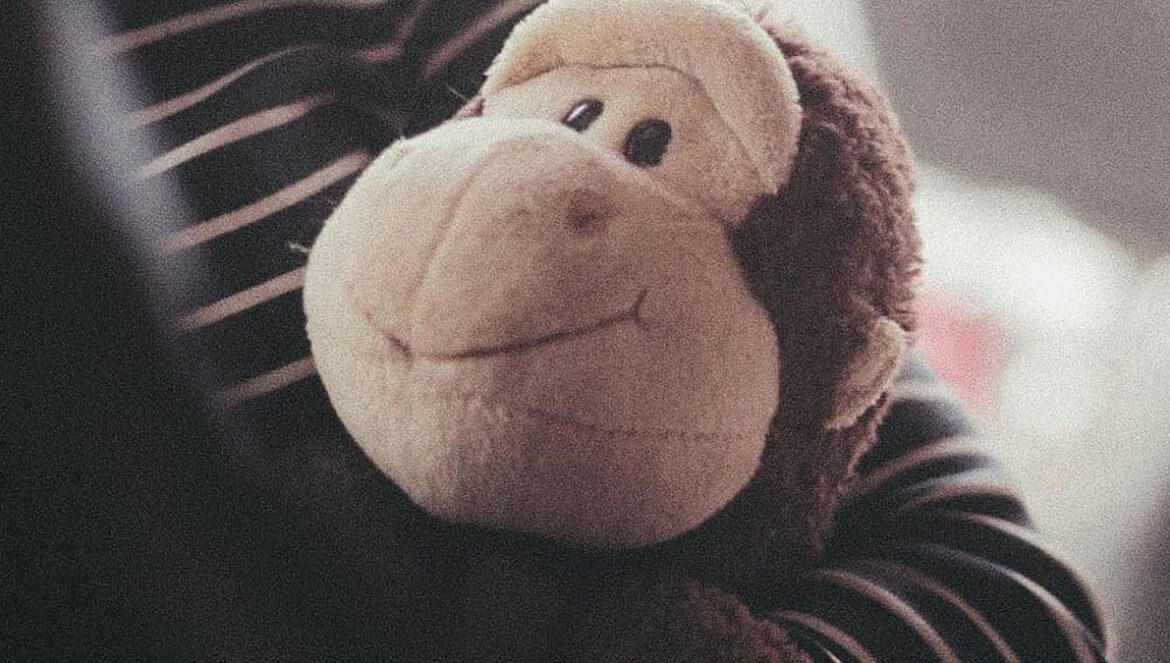 a person holding a stuffed monkey in their arms