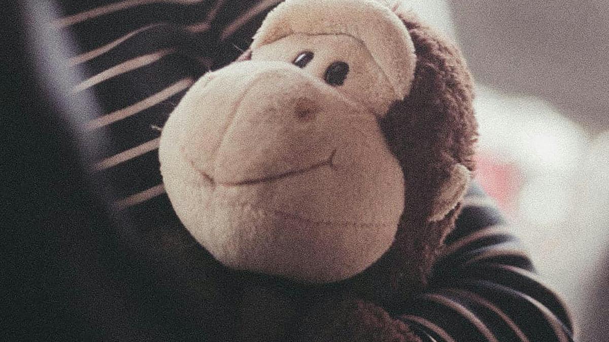 a person holding a stuffed monkey in their arms