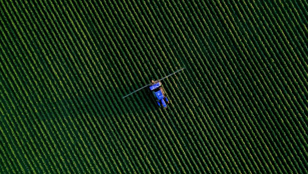 a group of people flying kites in the sky