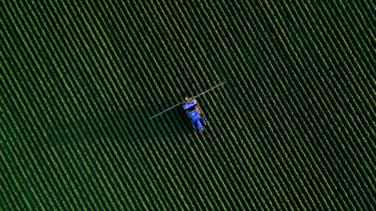 a group of people flying kites in the sky