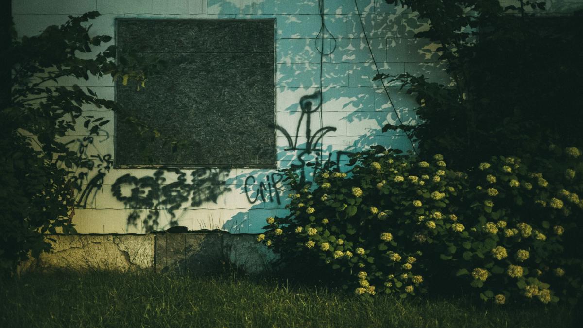 a close up of some grass