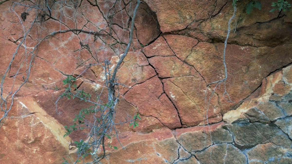 a close-up of a rock