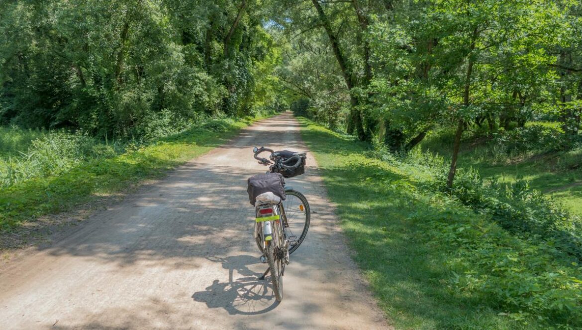 a person riding a bike on a dirt road surrounded by trees