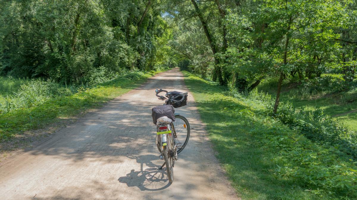 a person riding a bike on a dirt road surrounded by trees