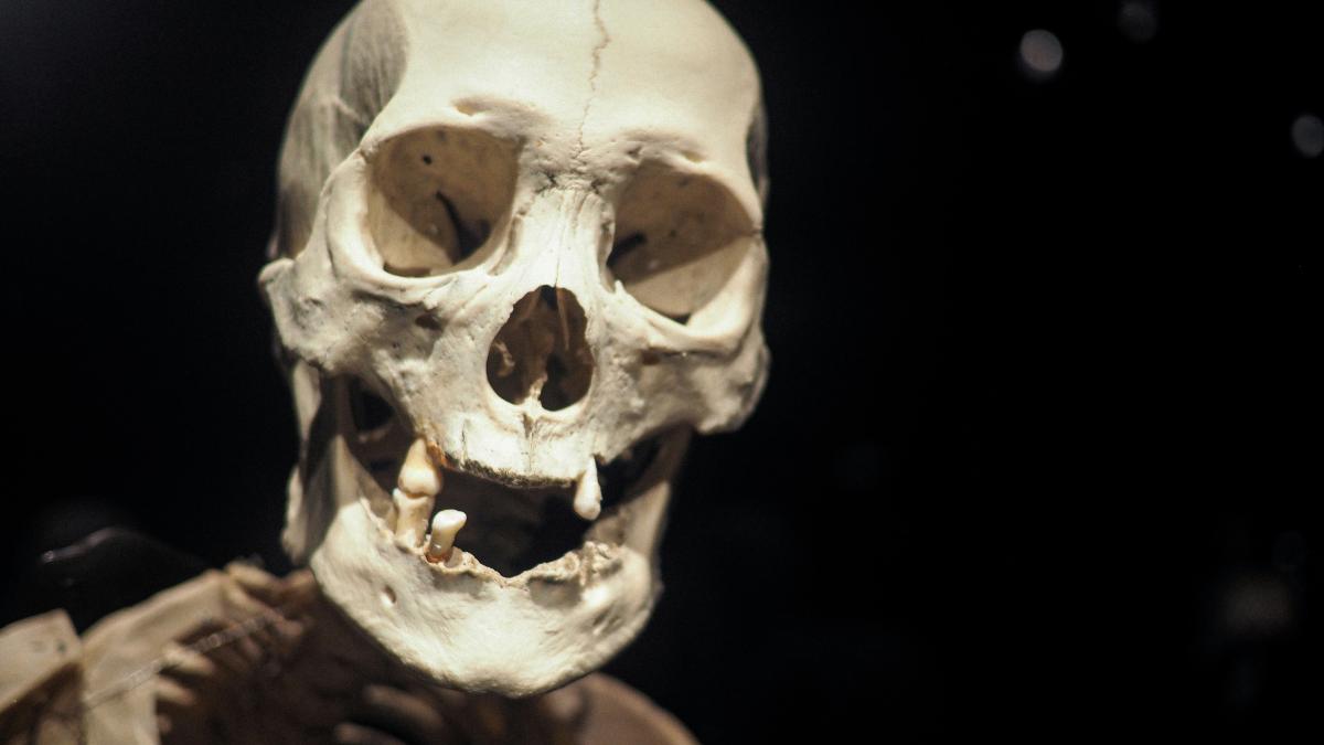 a skeleton with a black background