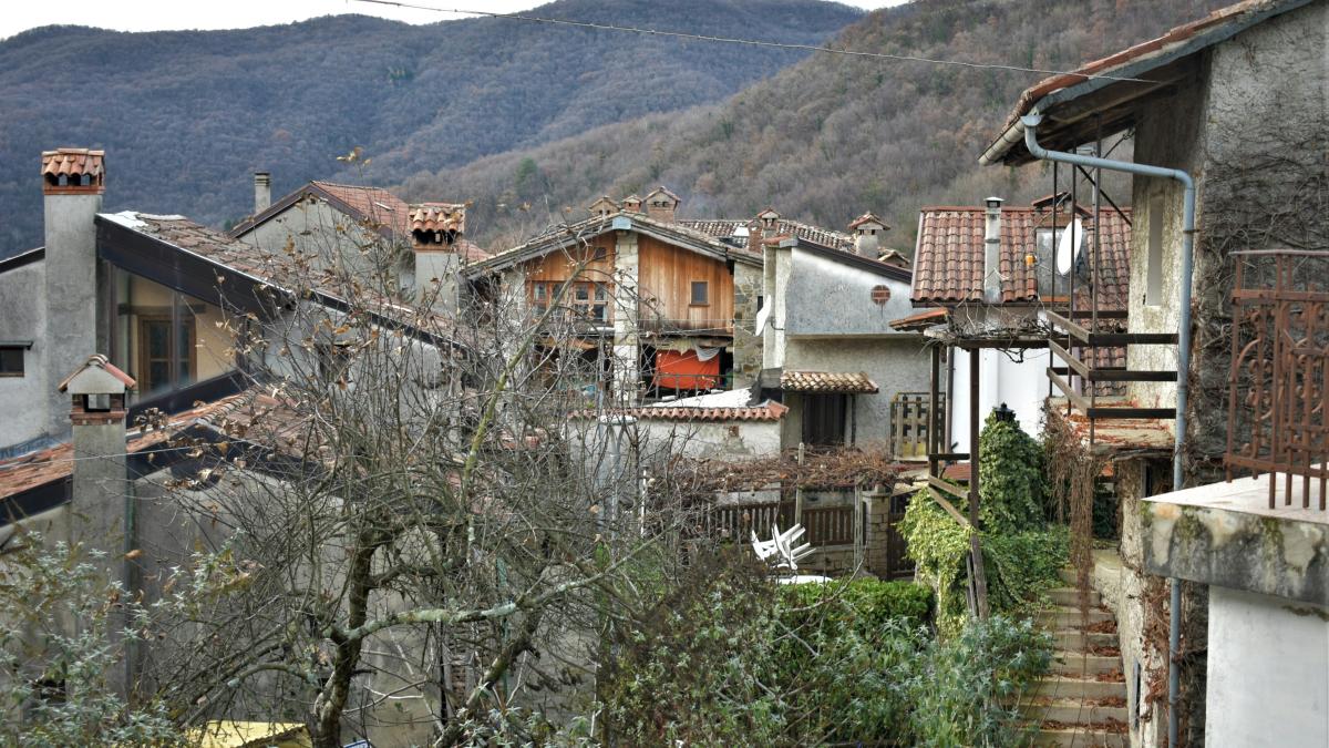 a view of a village with mountains in the background