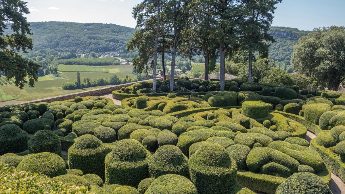 a garden with a lot of bushes and trees