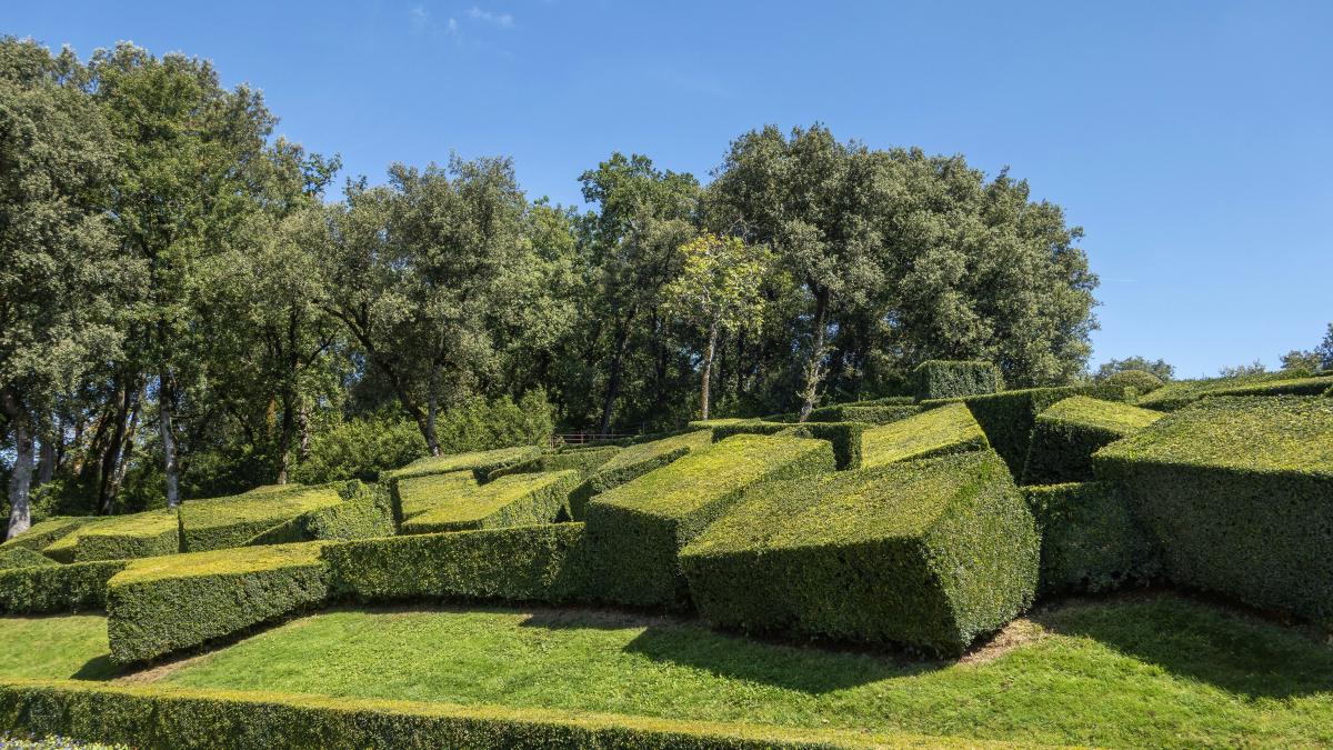 a large hedge maze in the middle of a park