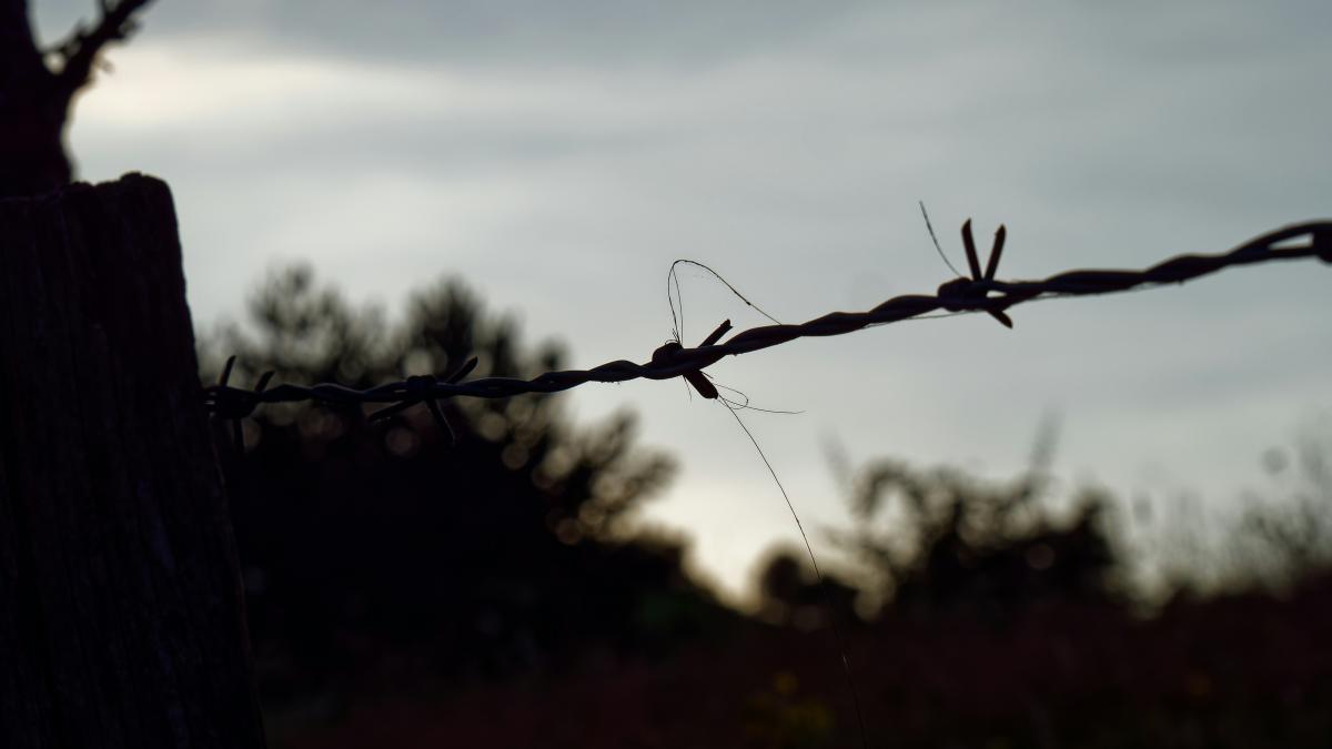 a barbed wire fence with trees in the background