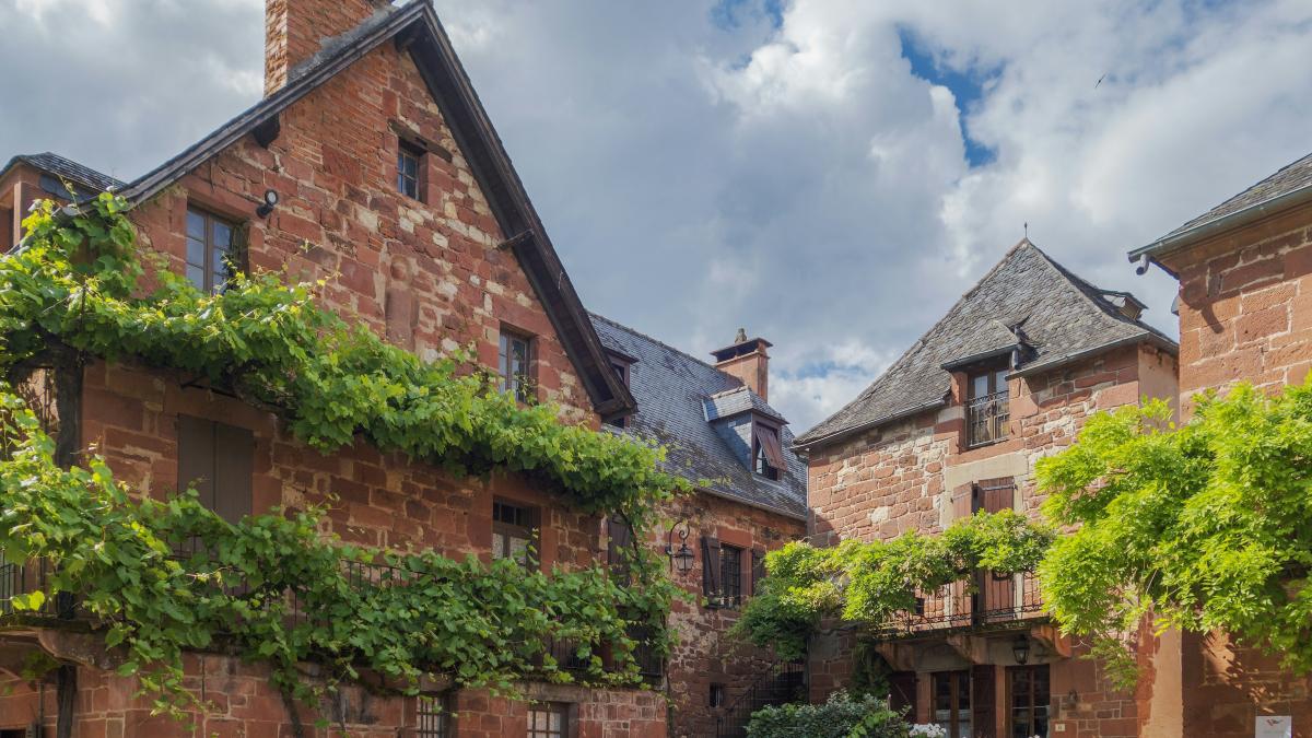 a brick building with vines growing on the side of it