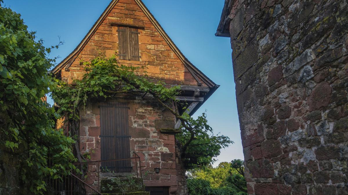 an old brick building with vines growing on it