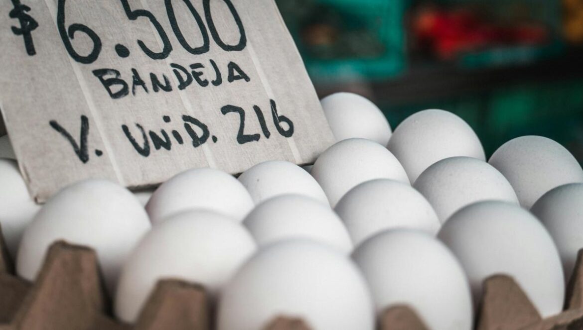 a bunch of white eggs in a carton for sale