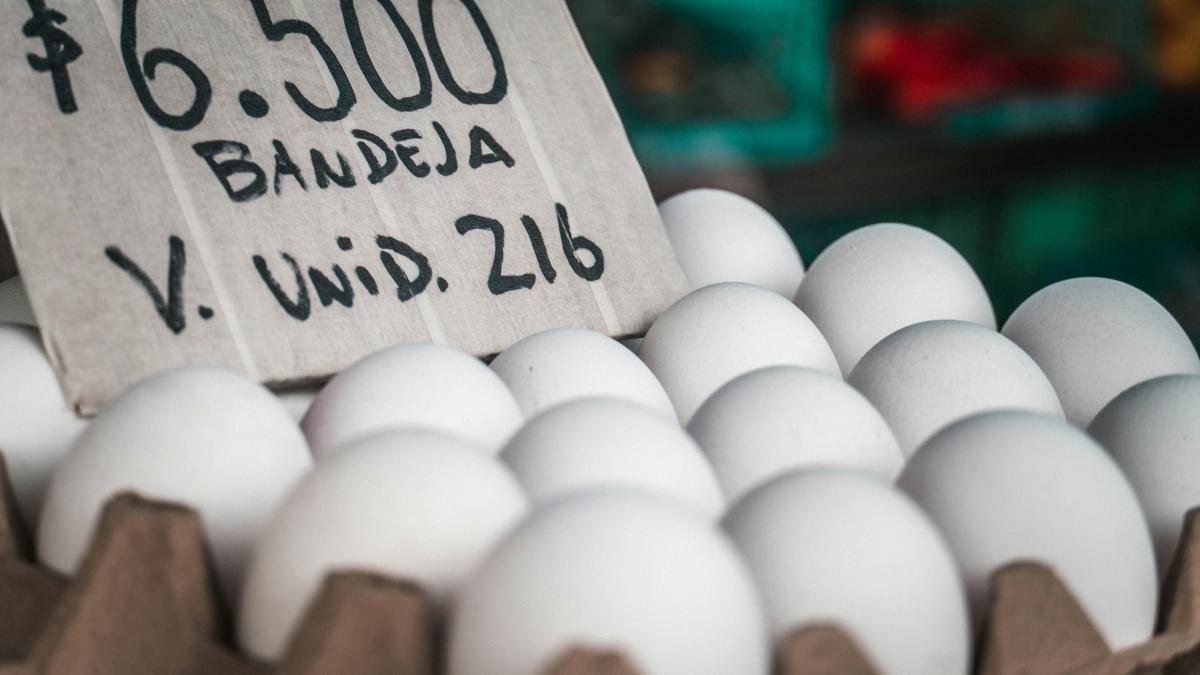 a bunch of white eggs in a carton for sale