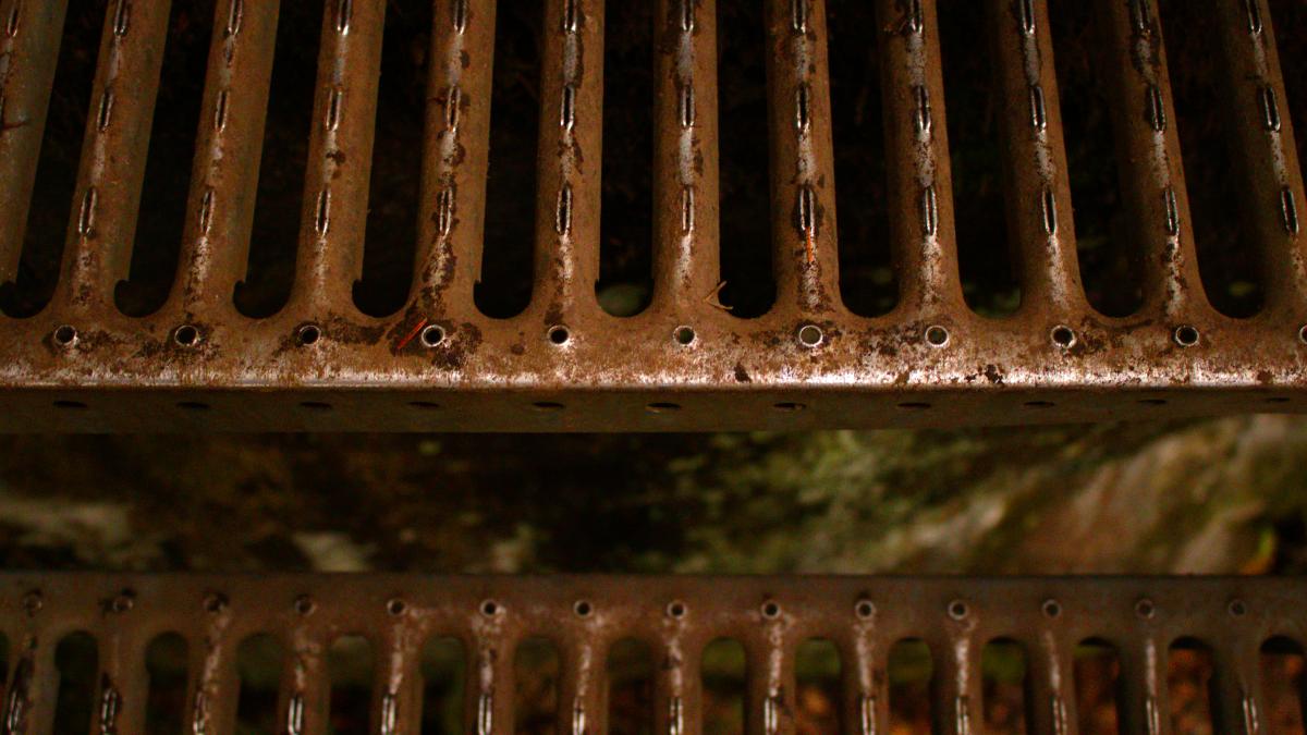 a close up of a metal grate with a tree in the background