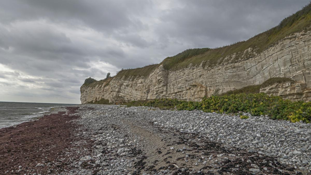 a rocky beach next to the ocean under a cloudy sky