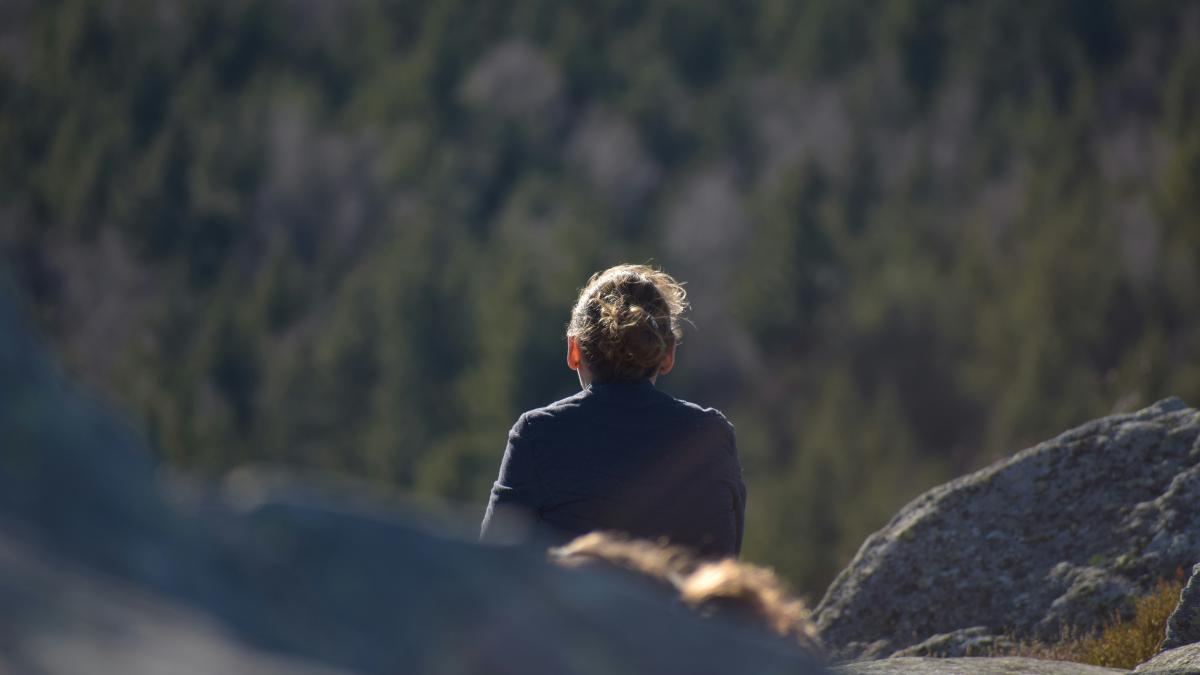 a man sitting on top of a rock next to a forest