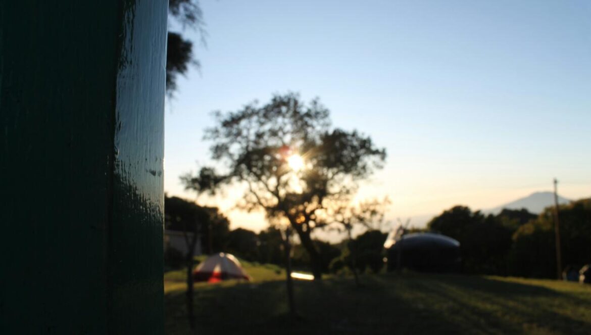 The sun is setting over a field with a tree